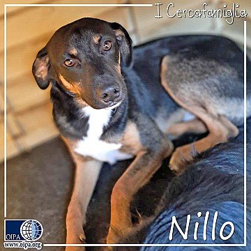 Press Release cover image