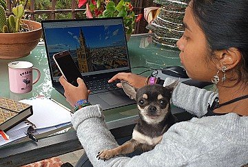 Press Release cover image