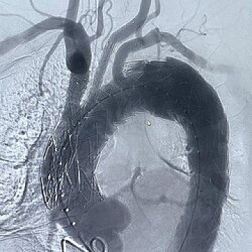 Press Release cover image