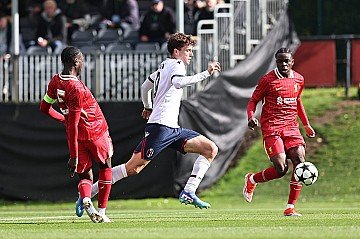 Press Release cover image