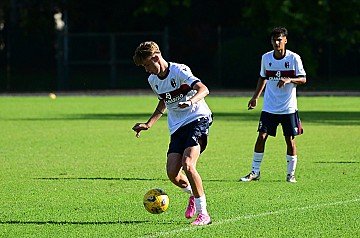 Press Release cover image