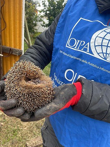 Press Release cover image