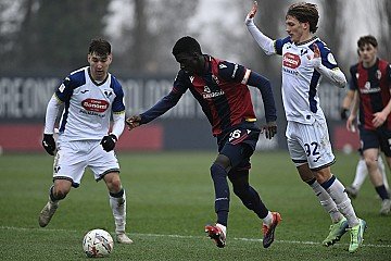 Press Release cover image