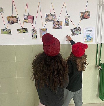 Press Release cover image