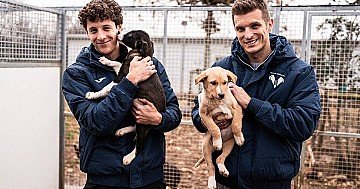 Press Release cover image