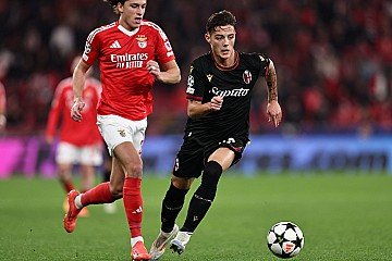 Press Release cover image