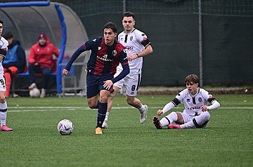 Press Release cover image