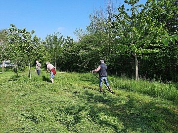 Press Release cover image