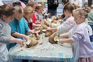 Press Release cover image