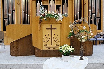 Press Release cover image