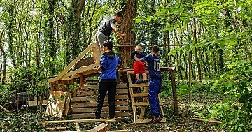 Press Release cover image