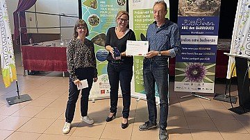 Press Release cover image