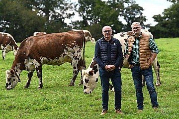 Press Release cover image