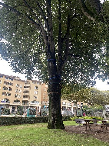 Press Release cover image