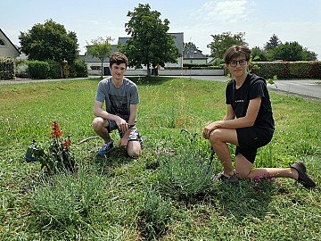 Press Release cover image