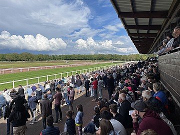 Press Release cover image