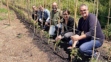 Press Release cover image