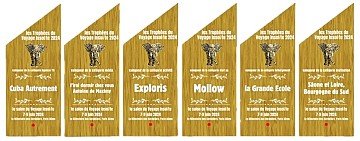 Press Release cover image