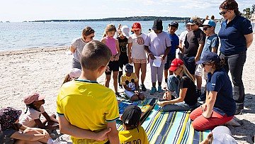 Press Release cover image