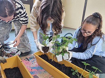 Press Release cover image