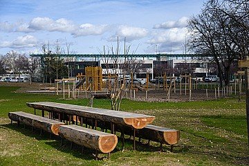 Press Release cover image