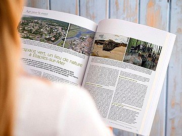 Press Release cover image