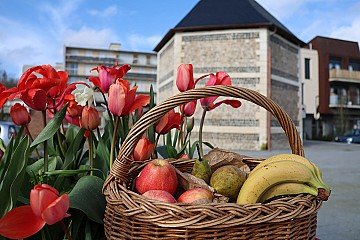 Press Release cover image