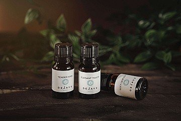 Press Release cover image