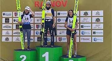 Press Release cover image