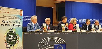 Press Release cover image