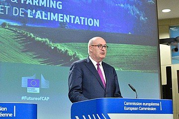 Press Release cover image