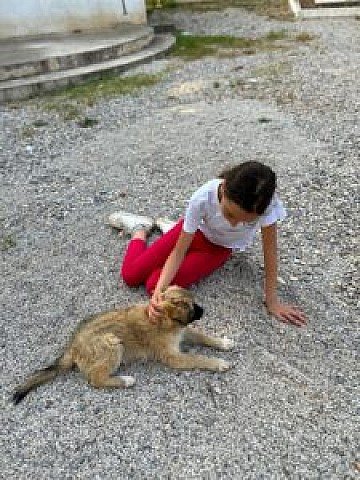 Press Release cover image