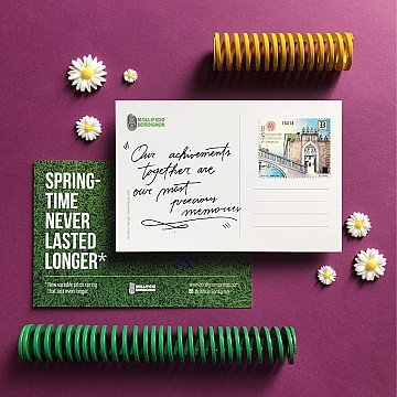 Press Release cover image