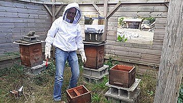 Press Release cover image