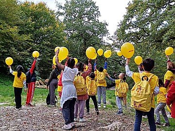 Press Release cover image