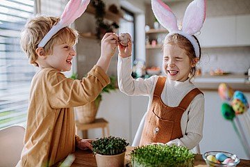 Press Release cover image