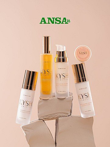 Press Release cover image