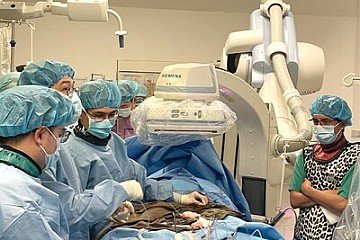 Press Release cover image