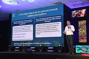 Press Release cover image