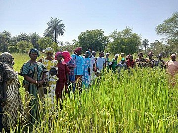 Press Release cover image