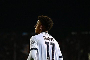 Press Release cover image