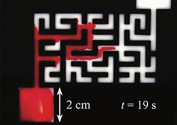 Press Release cover image