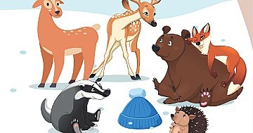 Press Release cover image