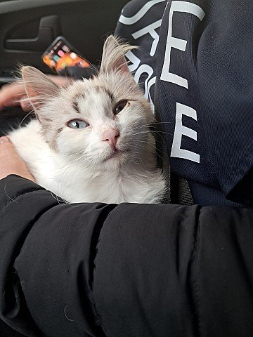 Press Release cover image