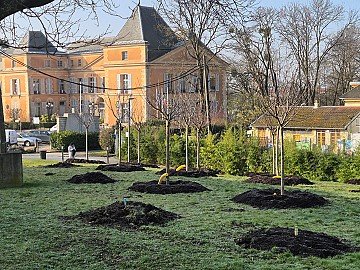 Press Release cover image