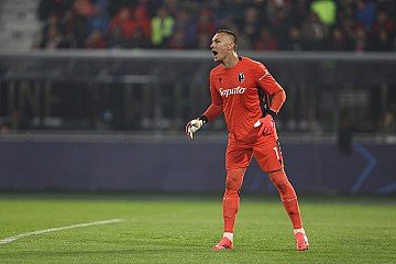 Press Release cover image