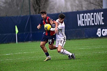 Press Release cover image