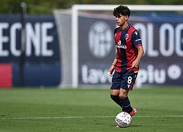 Press Release cover image