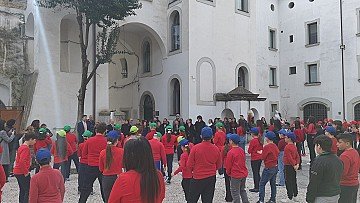 Press Release cover image