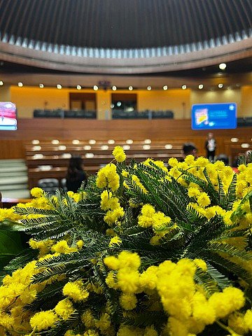 Press Release cover image